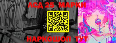 гидропоника Будённовск