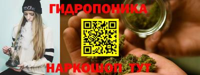гидропоника Будённовск