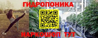 гидропоника Будённовск
