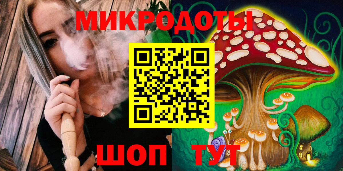 Псилоцибиновые грибы Cubensis Осинники