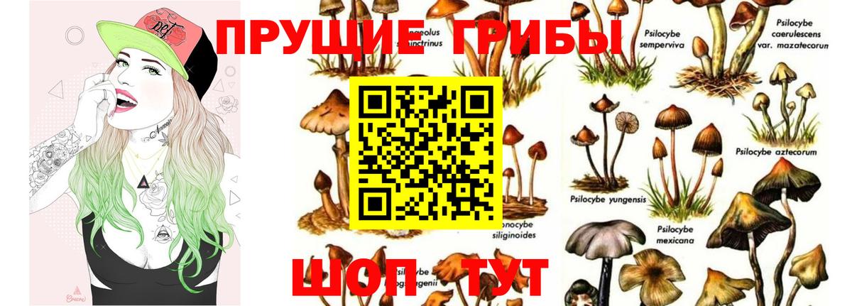 Осинники  Галлюциногенные грибы мухоморы  Вход с VPN 